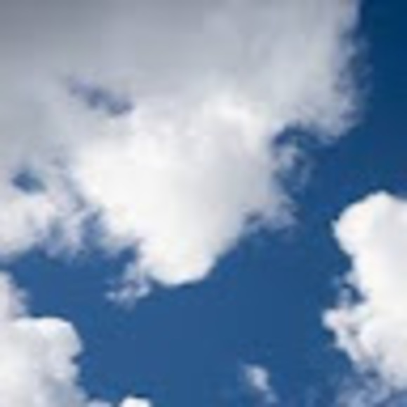 Meet your Posher, Forest - Picture 1 of 1